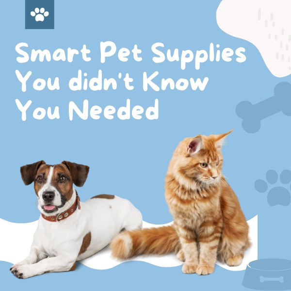 smart pet supplies you didn't know you needed