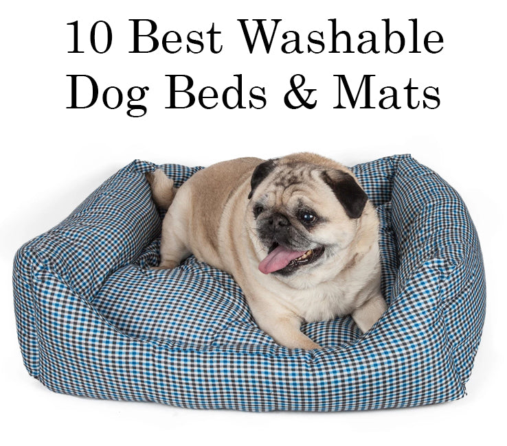 Best dog beds outlet for pugs