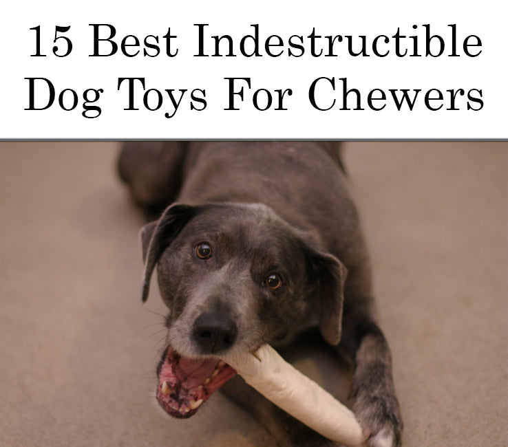 NICHE Brands USA Dog Chew Toy for Aggressive Chewers - Real Beef Flavored Indestructible Rubber - Non-Toxic - Medium/Large Dogs - Dental Chews 