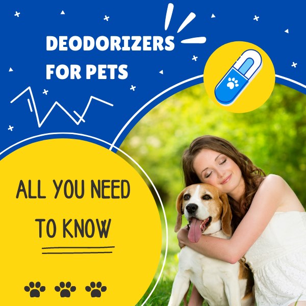 Deodorizers for pets: all you need to know