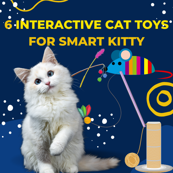 Best toys top for smart cats
