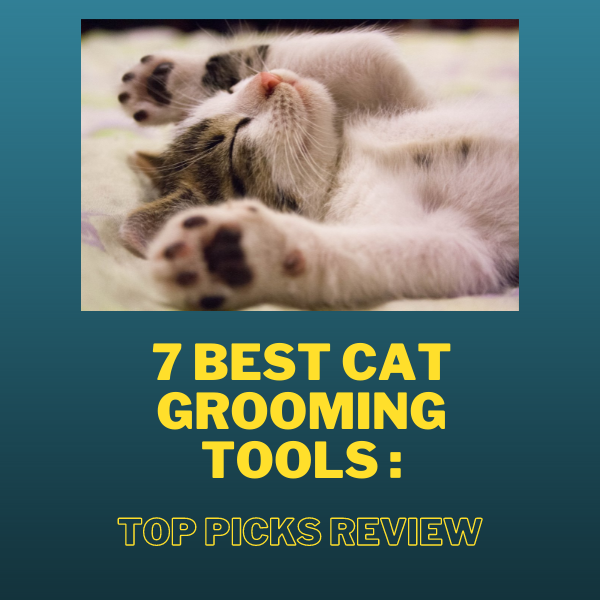 Best cat grooming tools deals