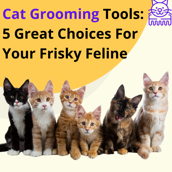 cat grooming tools: 5 great choices for your frisky feline