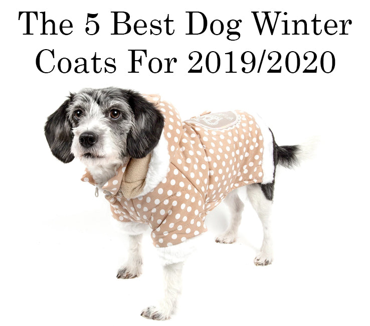 Best dog sweaters 2019 best sale