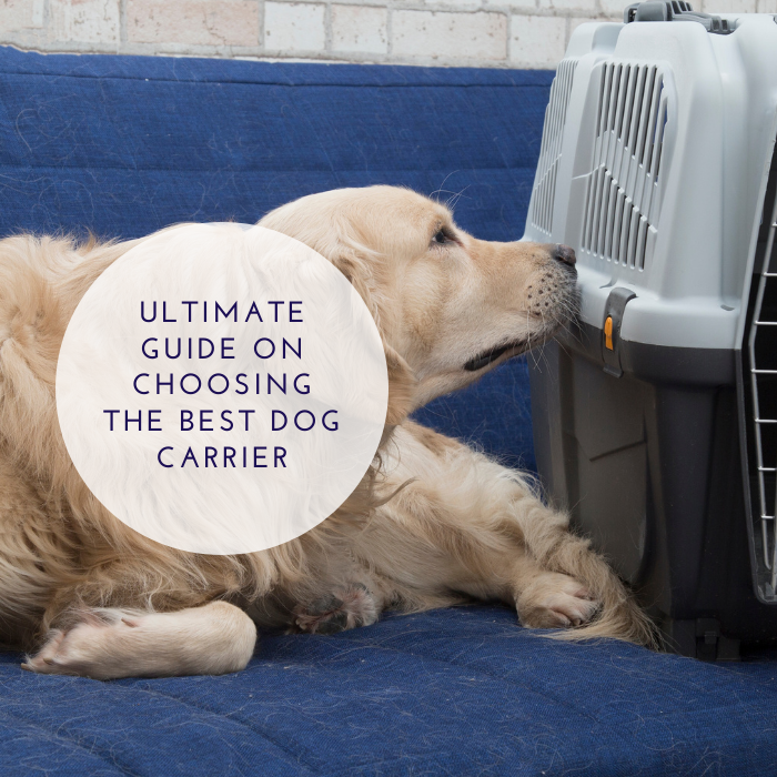 How to Choose the Best Carrier for Your Dog