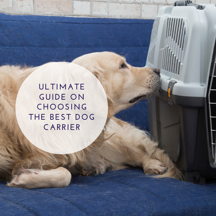 What Size Slide Topper Do I Need : Ultimate Guide for Choosing the Right Fit