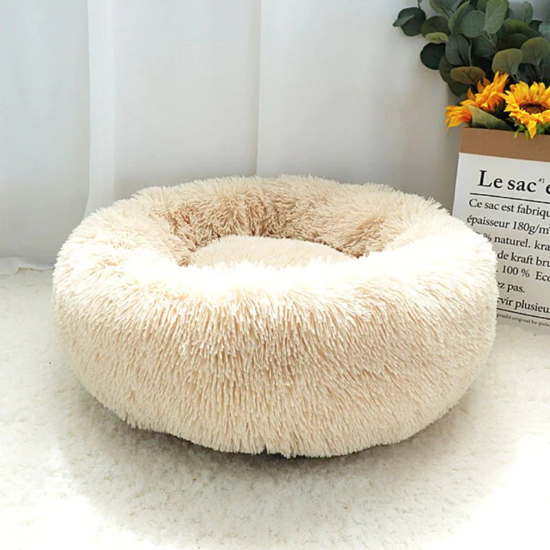 pet bed