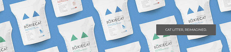 Boxiecat