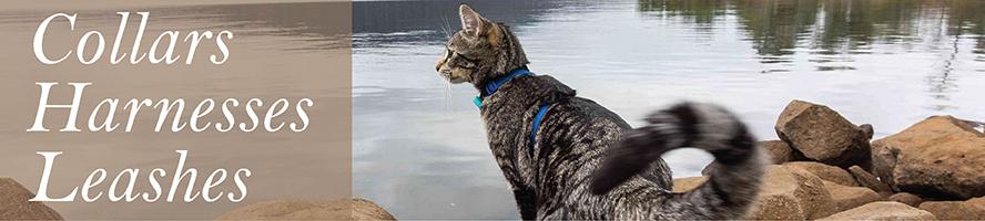 Cat Collars and Leashes