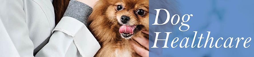 Dog Health