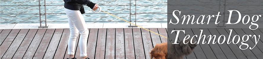 Dog Technology