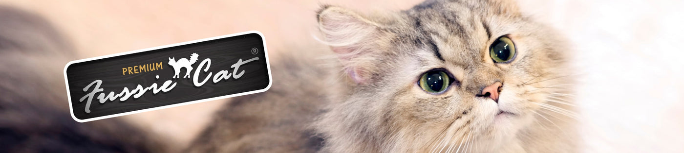 Fussie Cat