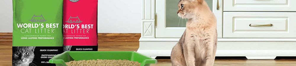 World's Best Cat Litter