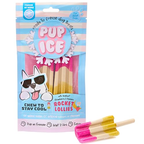 Ethical SPOT Pup Ice Ready-to-Freeze Strawberry and Banana Rocket Lollies with Chicken Dog Treats - 2 Pack Default Title