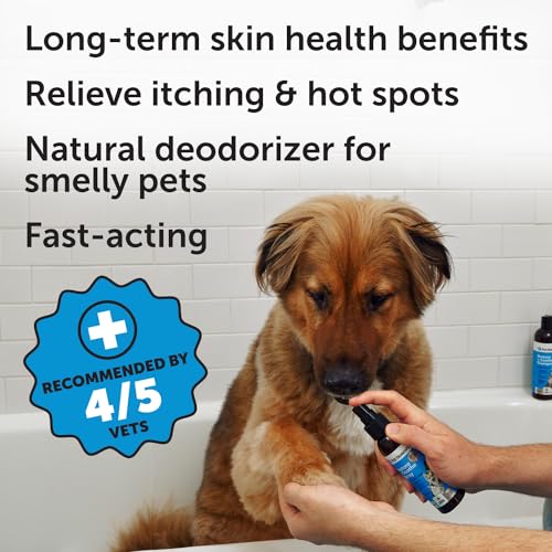 Pet Honesty Restore and Soothe Chlorhexidine Aloe and Lavender Scented Cat and Dog Hot Spot Spray - 4 Oz