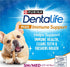 Purina DentaLife + Immune Support Chicken Apple and Blueberry Dental Dog Treats - Small/Medium