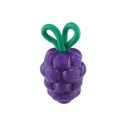 Outward Hound Dental Grapes Grape Scented Treat-Dispensing Fetch and Tug Dog Toy - Purple
