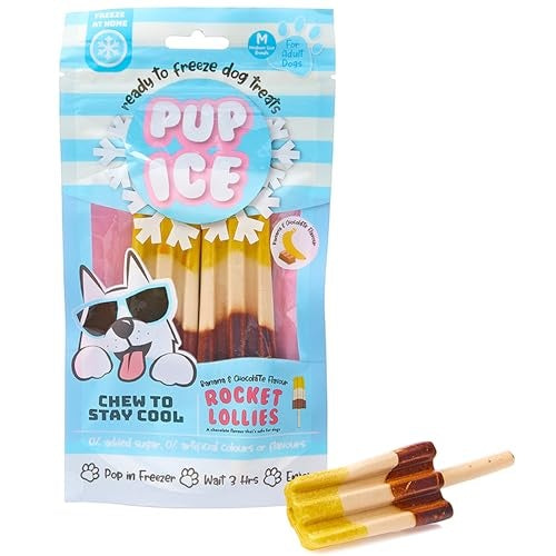 Ethical SPOT Pup Ice Ready-to-Freeze Banana and Carob Rocket Lollies with Chicken Dog Treats - 2 Pack Default Title