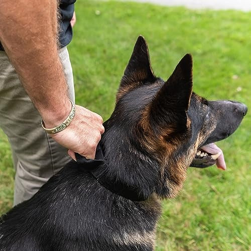 Operation Good Boy Tactical Durable Military-Grade Quick Release Adjustable Dog Collar