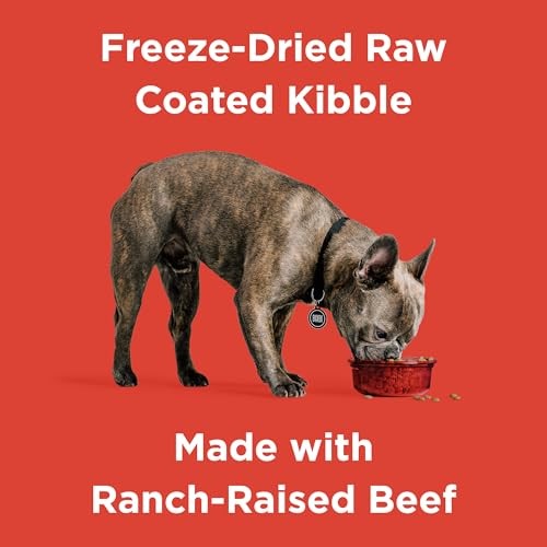 Bixbi Rawbble USA Made Grain-Free Beef Recipe Freeze-Dried Raw Dry Dog Food - 24 Lbs