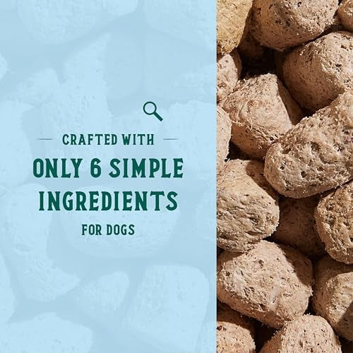 Open Farm Goodbowl Grass-Fed Beef with Wholesome Grains Freeze-Dried Raw Dog Food or Topper