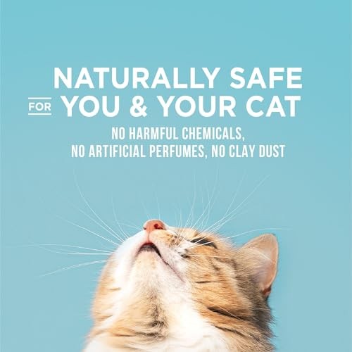 World's Best Cat Litter Poop Fighter Odor Defense Dust-Free Clumping Lemongrass Scented Corn Cat Litter - Case of 3