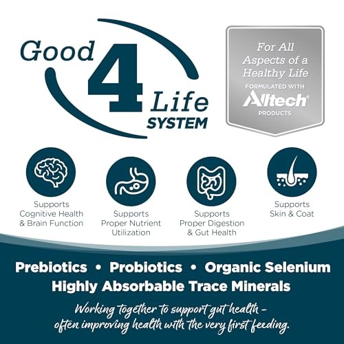 Nutrisource Chicken and Rice with Wholesome Grains Small Bites Adult Dry Dog Food - 12 Lbs