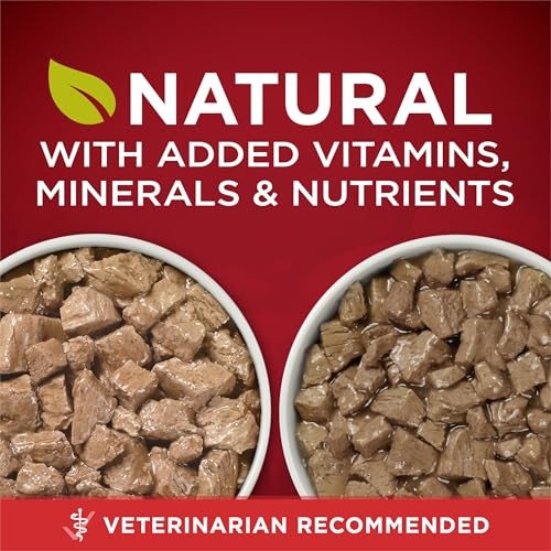 Purina ONE True Instinct Tender Cuts in Gravy Beef Chicken Salmin Duck Canned Dog Food - Variety Pack - 13 Oz - Case of 6