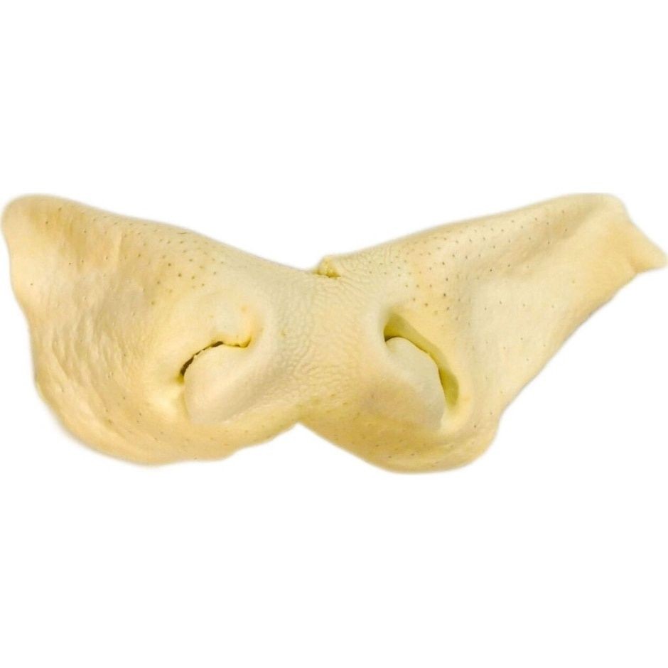 Best Buy Bones Nature's Own USA Not Rawhide Beef Snout Natural Dog Chew Default Title