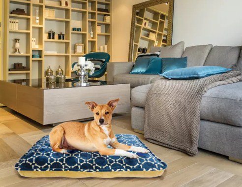 Arlee Bella OrthoLux Orthopedic Fur Mattress Dog Bed - Gray Medium - L:40 X W:30 X H:7 In