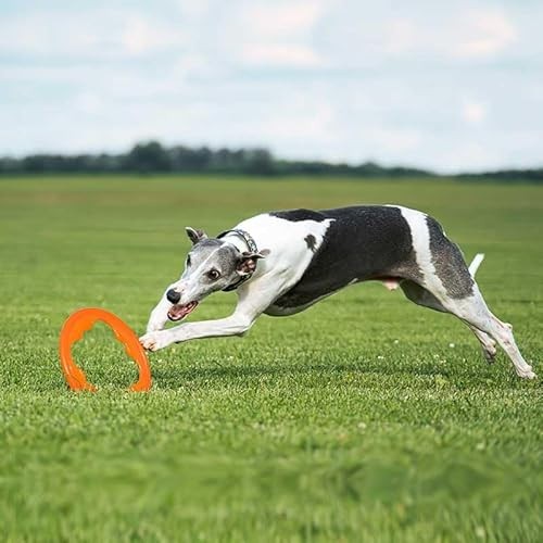 BIONIC Toss-N-Tug Turbo Frisbee Tough Chewer Interactive Fetch Rubber Dog Toy