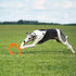 BIONIC Toss-N-Tug Turbo Frisbee Tough Chewer Interactive Fetch Rubber Dog Toy
