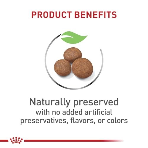 Royal Canin Size Health Nutrition Large-Breed Puppy Dry Dog Food - 4 Lbs