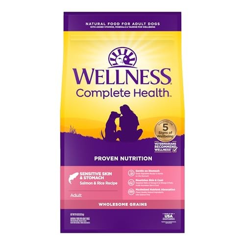 Wellness Complete Health Sensitive Skin and Stomach Wholesome Grains Salmon and Rice Adult Dry Dog Food - 24 Lbs Default Title