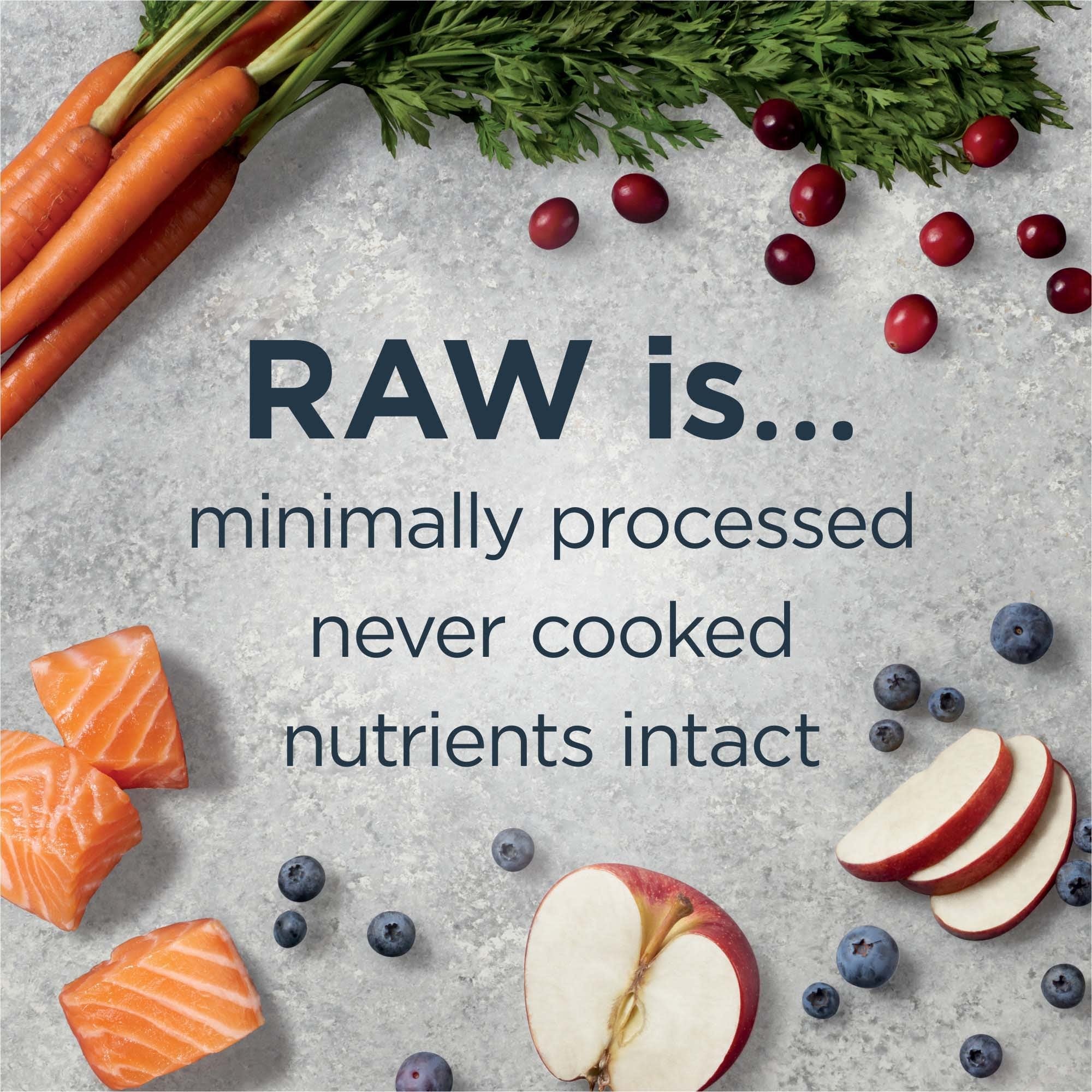 Instinct Raw Boost Salmon and Whole Grain Kibble and Freeze-Dried Raw Dog Food - 19 Lbs