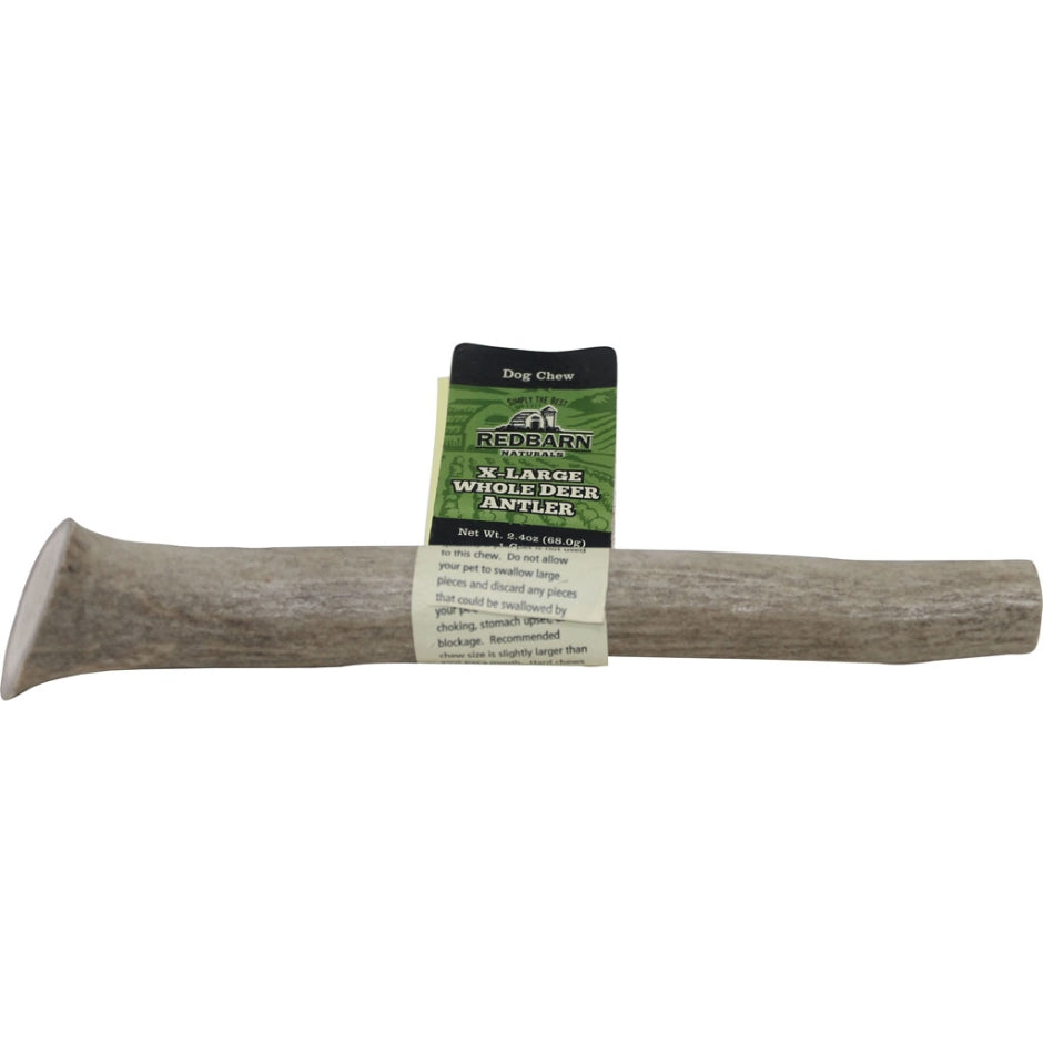 Red Barn Whole Deer Antler Natural Dog Chew Extra Large - 2.4 Oz