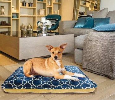 Arlee Bella OrthoLux Orthopedic Fur Mattress Dog Bed - Gray Large - L:45 X W:36 X H:8 In