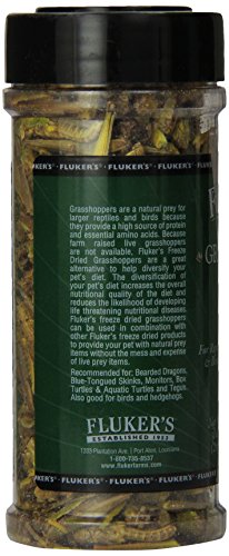Fluker's Freeze-Dried Grasshoppers for Bird Fish Hedgehog and Reptile Food - 1 Oz