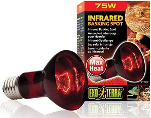 Exo Terra Heat-Glo Infrared Basking Reptile Spot Lamp 75 Watt