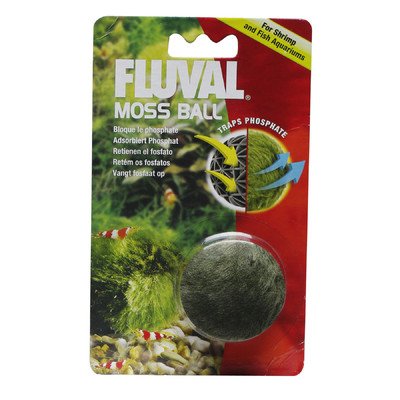 Fluval Moss Ball Aquarium Décor Default Title