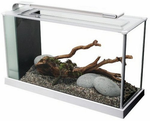 Fluval SPEC V Aquarium Kit with LED Lighting and 3-Stage Filtration System - 5 Gallon - White