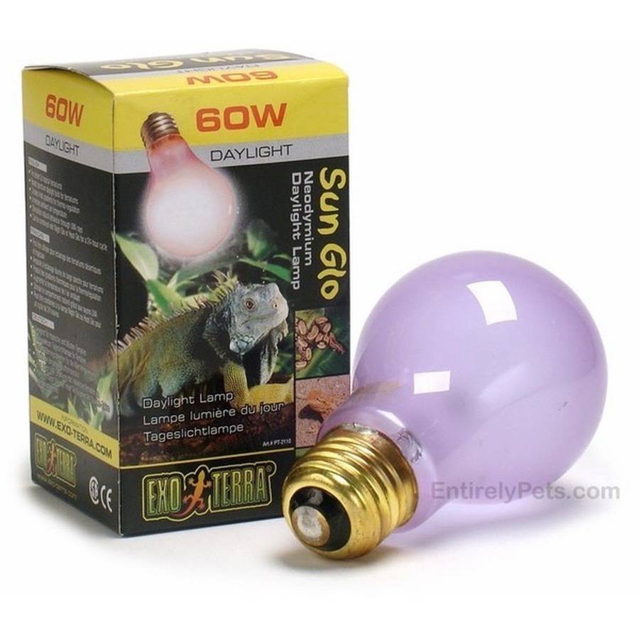 Exo Terra Daytime Sun-Glo Neodymium A19 Reptile Heating Lamp - 60 Watt Default Title