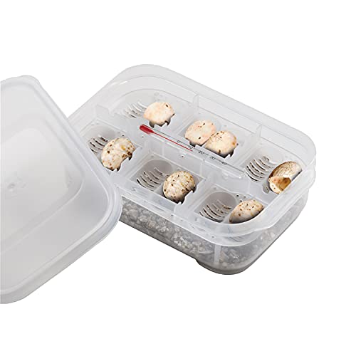 Exo Terra Reptile and Amphibian Egg Incubation Box
