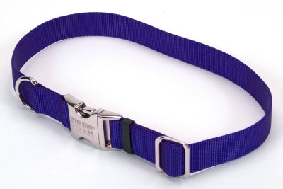 Coastal Adjustable Titan Metal Buckle Nylon Dog Collar Blue Large - L:18-26 X W:1 Inch