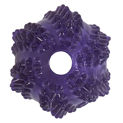 JW Pet BRISTL-EE Cactus Treat-Spreading Dental Ball Fetch Dog Toy