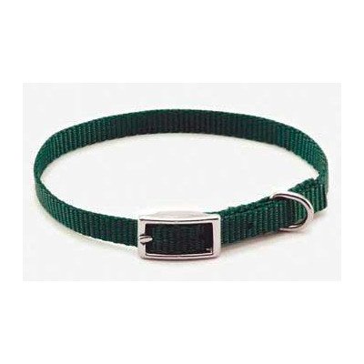 Coastal Single Ply Nylon Dog Collar Black Small - L:12 X W:3/8 In