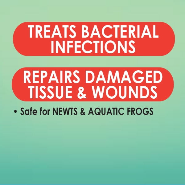 API Turtle Fix Frog Newt and Turtle Liquid Infection Medicine - 8 Oz