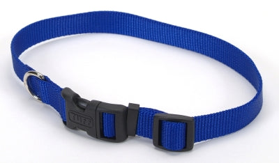 Coastal Adjustable Plastic Tuff-Buckle Nylon Dog Collar Blue Med/Large - L:14-20 X W:1 Inch