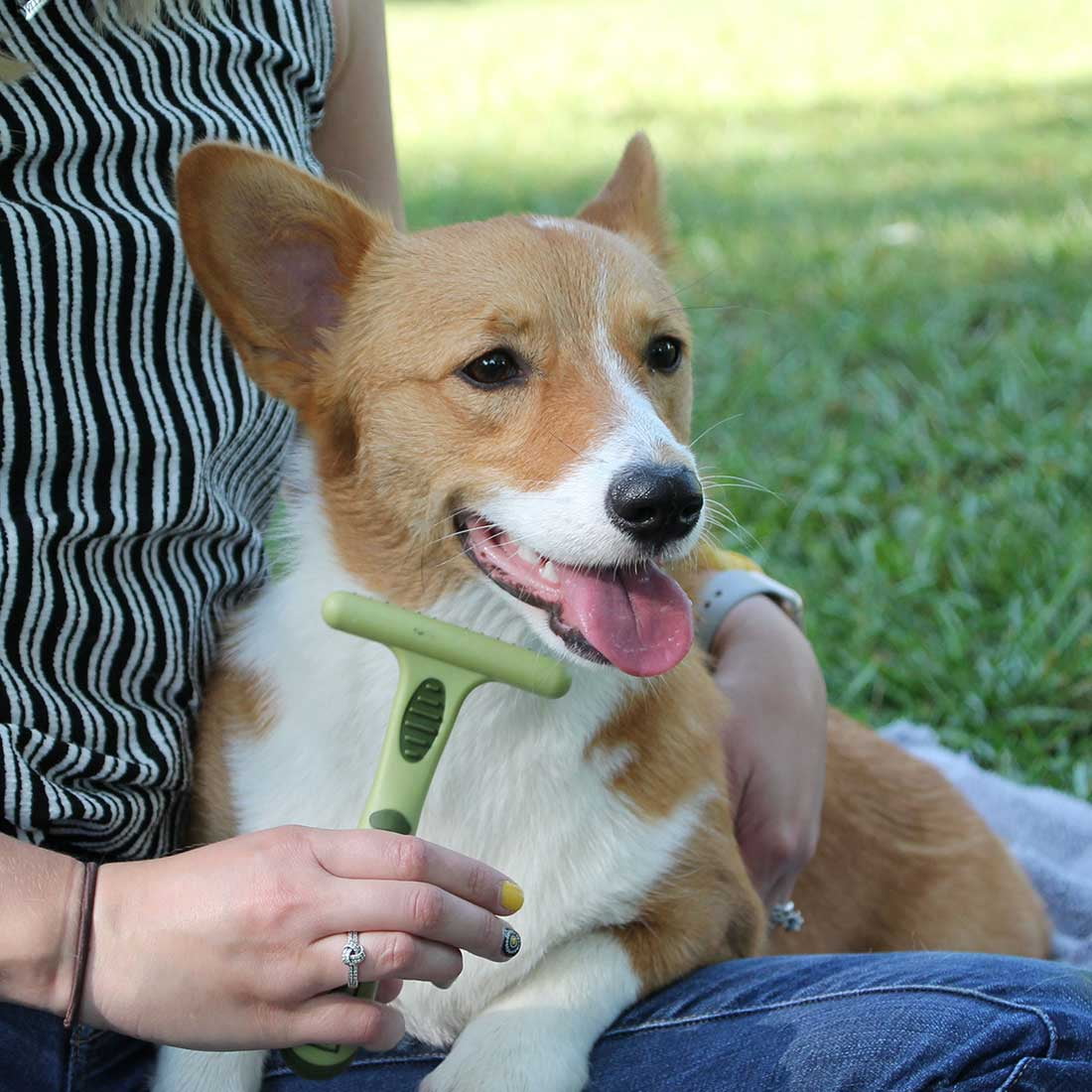 Coastal Safari Single Row Dog Grooming Undercoat Dematting Rake