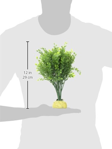 Exo Terra Boxwood Bush Aquarium and Terrarium Décor Plant